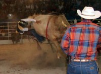 /album/raridades/seguuuuuuuuuuuuuuuuuuuuuuuuuuura-pe%c3%a3o-rodeio-de-colinas-2014-jpg/